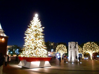 カラーフィールドのクリスマス☆その２_c0200917_10512332.jpg