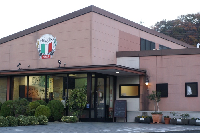 イタリアンレストラン「SELVAGGINA」地ビールと薪窯焼きピザの美味しいお店のご紹介です。_b0033423_8471290.jpg