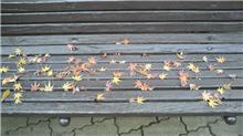 e0043723_2013584.jpg