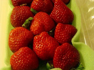 f0170524_14494738.jpg