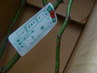 f0170524_14512082.jpg