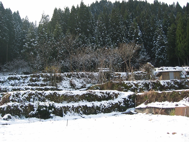 f0203324_14143734.jpg