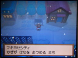 ポケットモンスターブラック縛りプレイ（フキヨセ探索～タワーオブヘブンへ）_a0120525_0225047.jpg