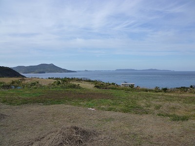 d0086228_1425956.jpg