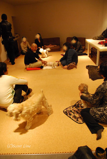 第4回「愛犬の為の整体教室」の模様 その2_c0099133_21153470.jpg