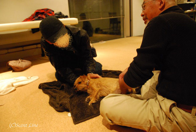 第4回「愛犬の為の整体教室」の模様 その2_c0099133_2117950.jpg