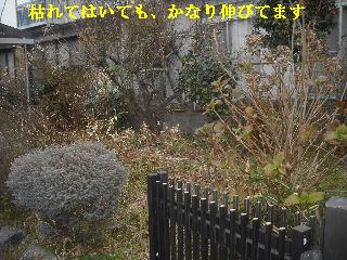 仕事諸々_f0031037_1915458.jpg
