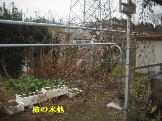 仕事諸々_f0031037_1921310.jpg