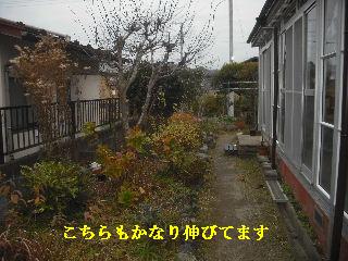 仕事諸々_f0031037_192329.jpg