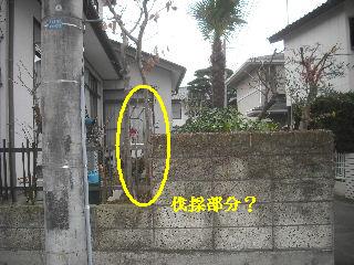 仕事諸々_f0031037_1955061.jpg