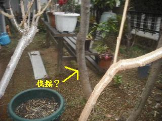 仕事諸々_f0031037_1955636.jpg