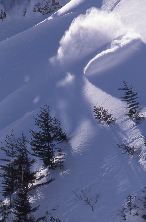 c0187449_10543746.jpg