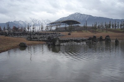 八色の森公園の雪降り前_a0084753_16251687.jpg