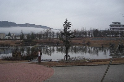 八色の森公園の雪降り前_a0084753_16252781.jpg