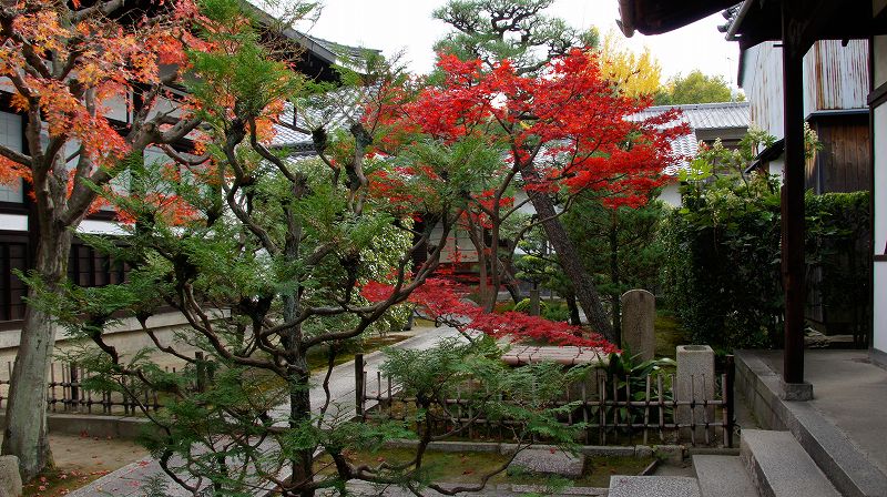 錦秋の都路２０１０ (東山 臨済宗東福寺派 東福寺塔頭寺院群の紅葉) (2010年12月14日)_c0119555_219141.jpg