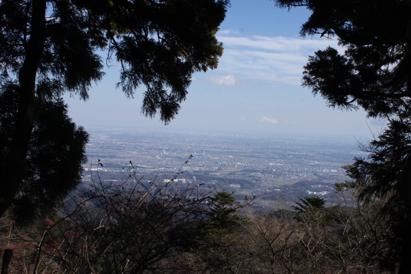 イタグレと大山登山_b0069169_23342850.jpg