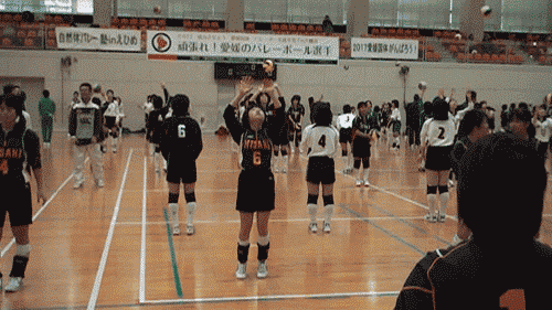 愛媛_c0000970_8342190.gif