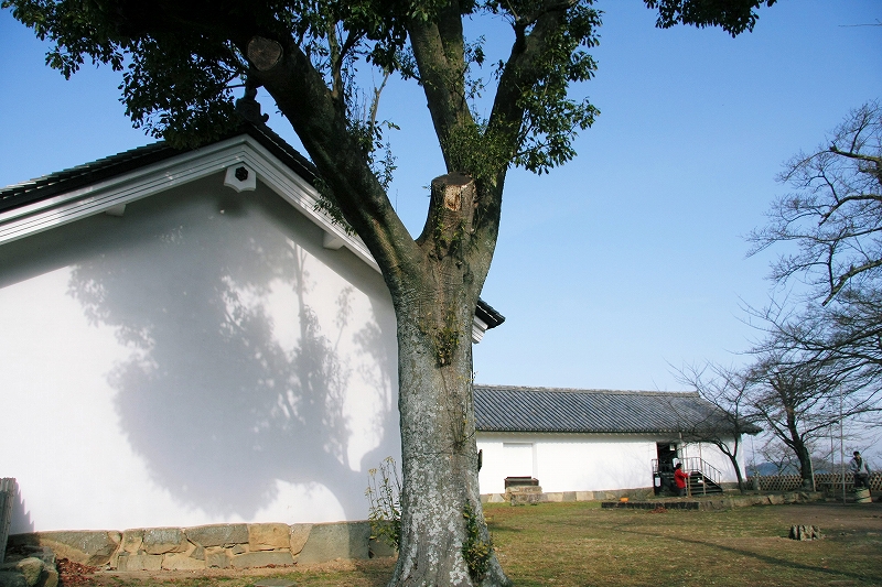 彦根城10 西の丸三重櫓_c0196076_2255619.jpg