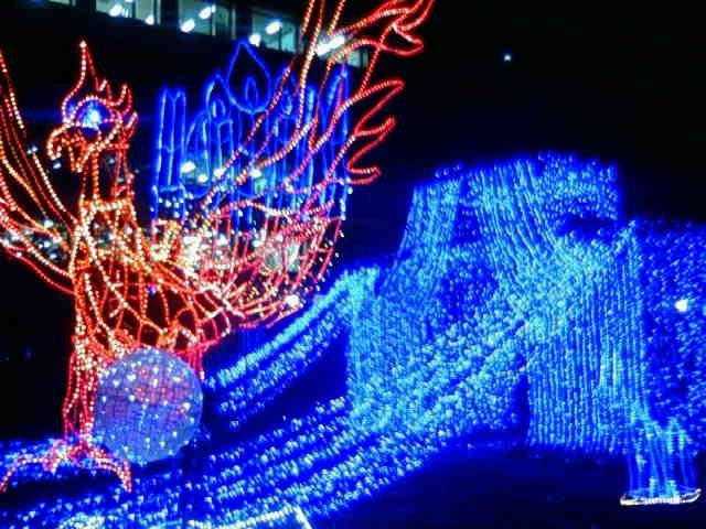 c0009280_17215915.jpg