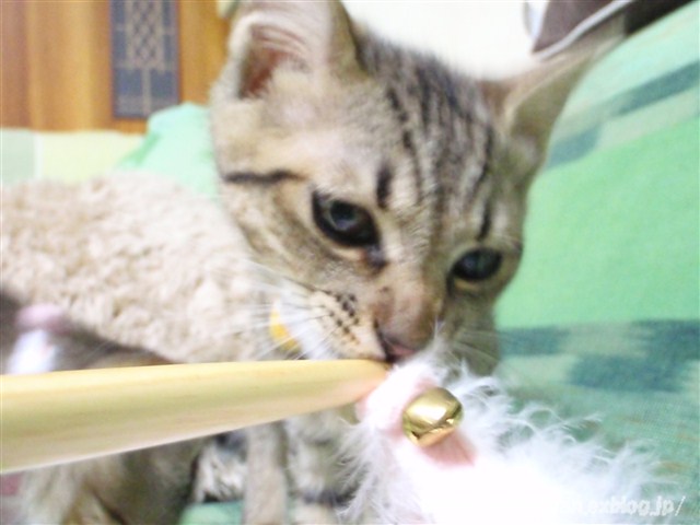 a0159490_11173594.jpg