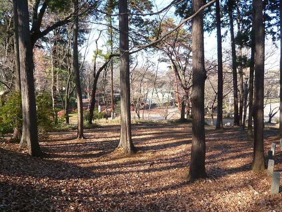 f0224492_7423177.jpg
