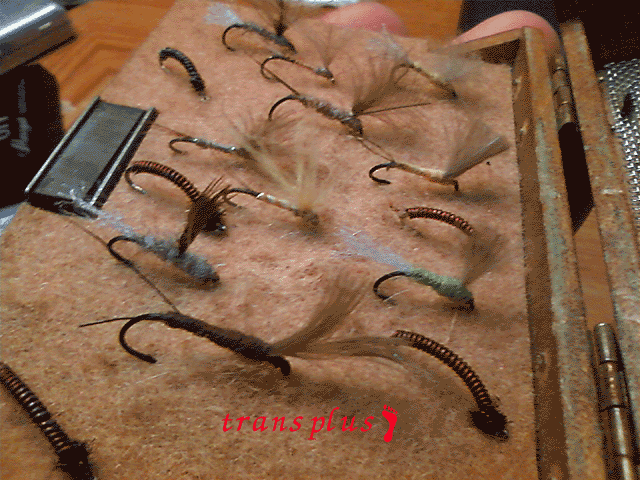 b0031493_21315218.gif