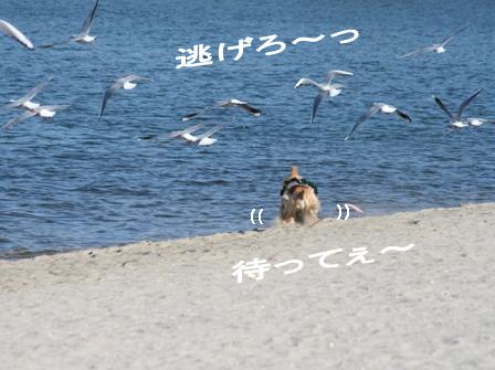 c0128303_9192110.jpg