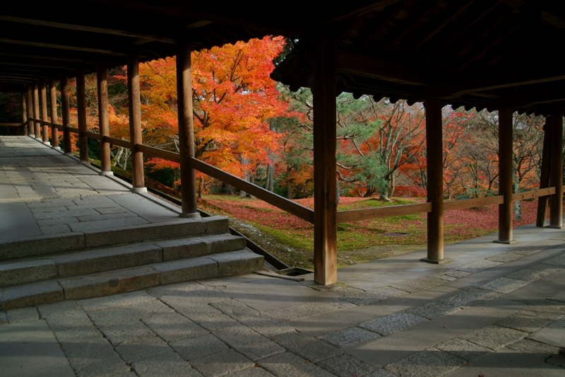 東福寺の名残の紅葉　前_e0177413_9442565.jpg