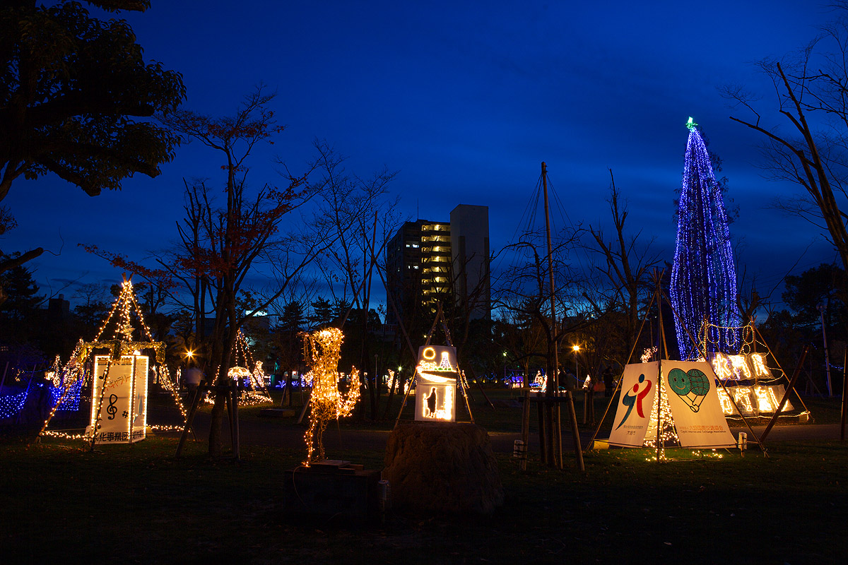 芭蕉元禄イルミネーション2010（岐阜県大垣市）_c0115616_5524478.jpg