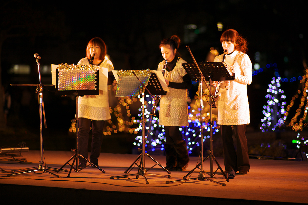 芭蕉元禄イルミネーション2010（岐阜県大垣市）_c0115616_5531115.jpg