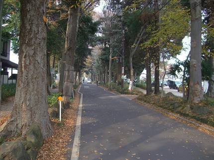 松戸・本土寺　de　紅葉_d0065324_14265030.jpg