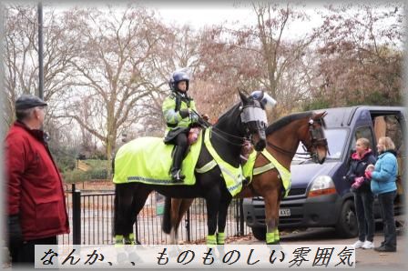 じゃがいもの胡麻和え_d0104926_52359.jpg
