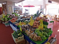 d0086228_1336110.jpg