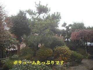 ハウスクリーニングと下見_f0031037_20165666.jpg