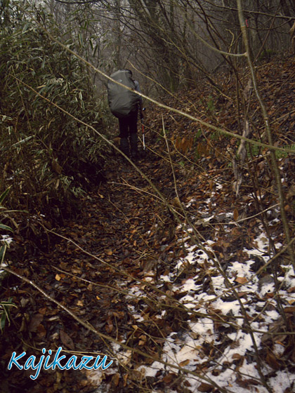 a0166940_2233220.jpg