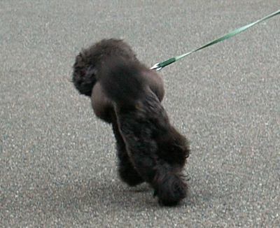 d0026745_95427.jpg