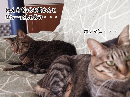 f0116546_1805024.gif