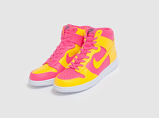 nike dunk fragment