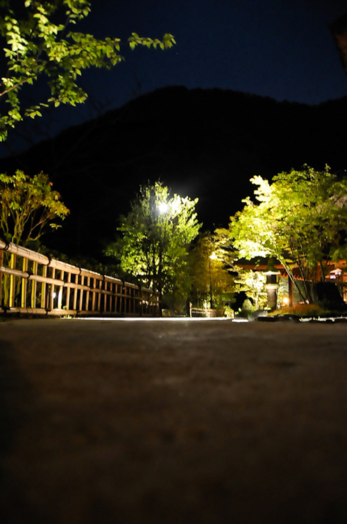 d0109653_2131463.jpg