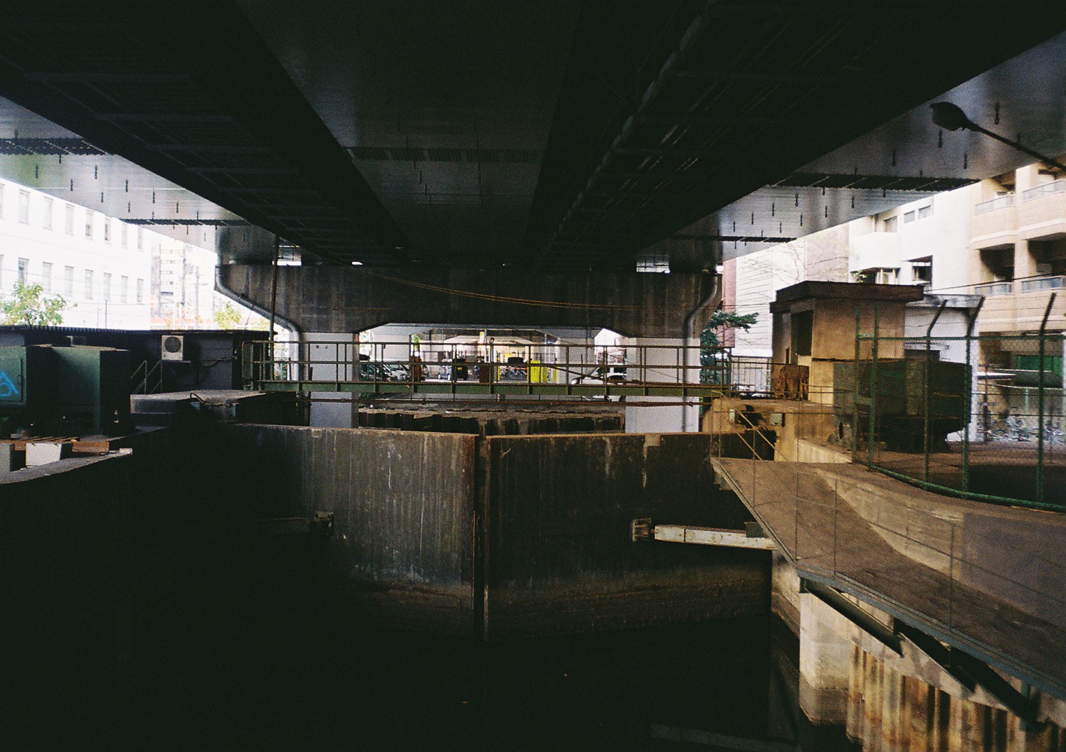 f0209159_23391.jpg