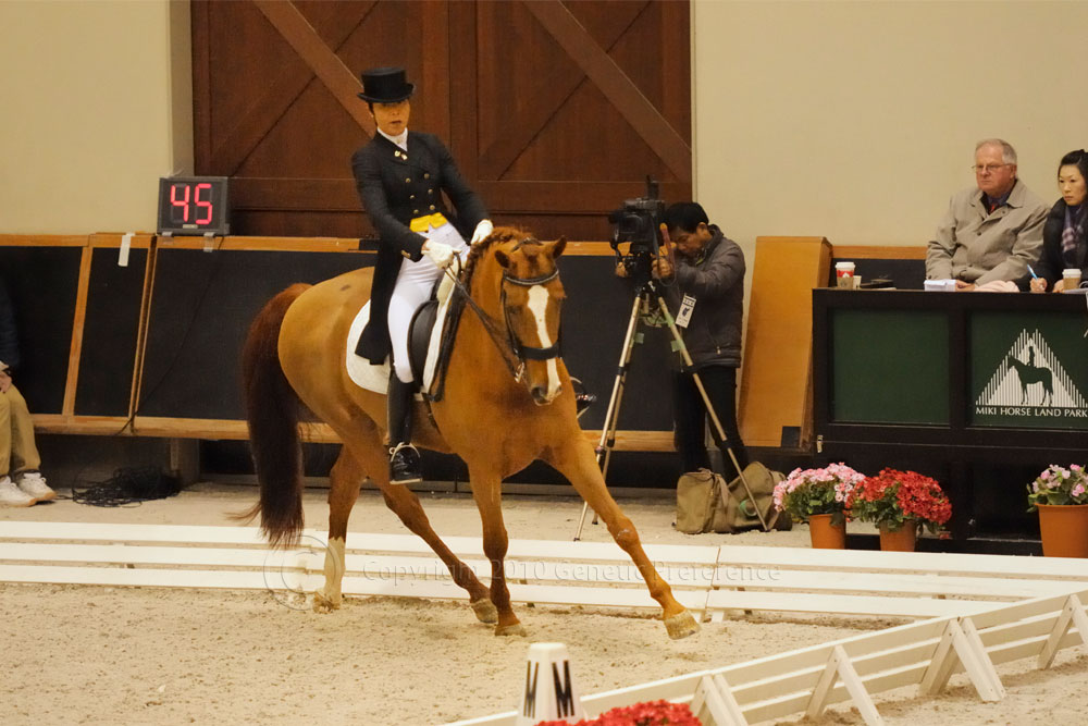 第62回全日本馬場馬術大会2010PartI兼CDI3*Miki_a0111162_19471194.jpg