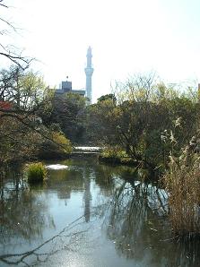 f0139963_055362.jpg