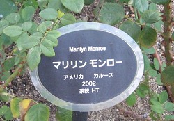 e0041168_10324421.jpg