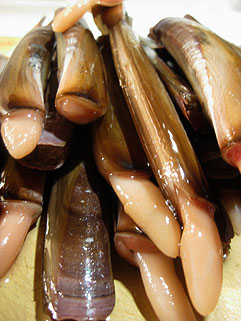 マテ貝の甘辛煮 グンジ家の食卓