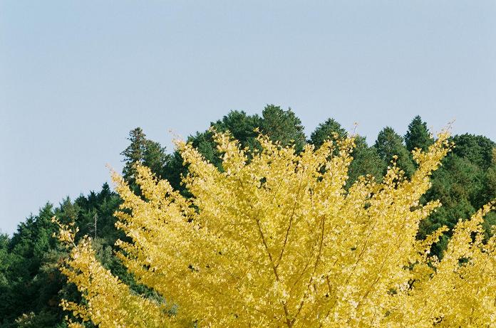 c0046587_22431295.jpg