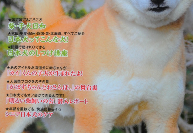 お恥ずかしい!でも、どうぞ宜しく!_a0126590_0142121.jpg