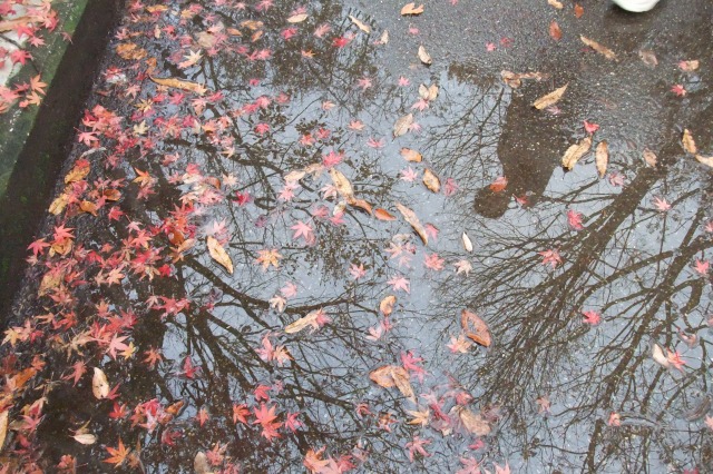 e0070891_1912013.jpg