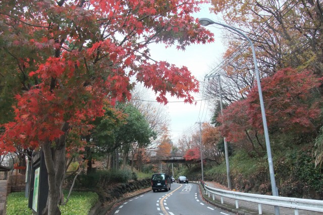 e0070891_1985516.jpg