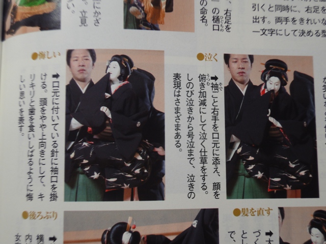 文楽デビュー_d0208992_14531489.jpg