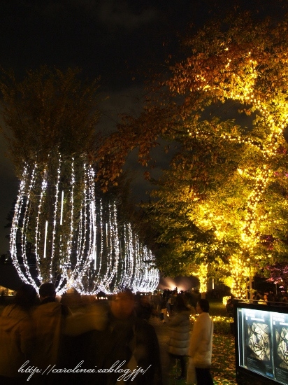 東京ミッドタウンのイルミネーション_d0025294_211711.jpg
